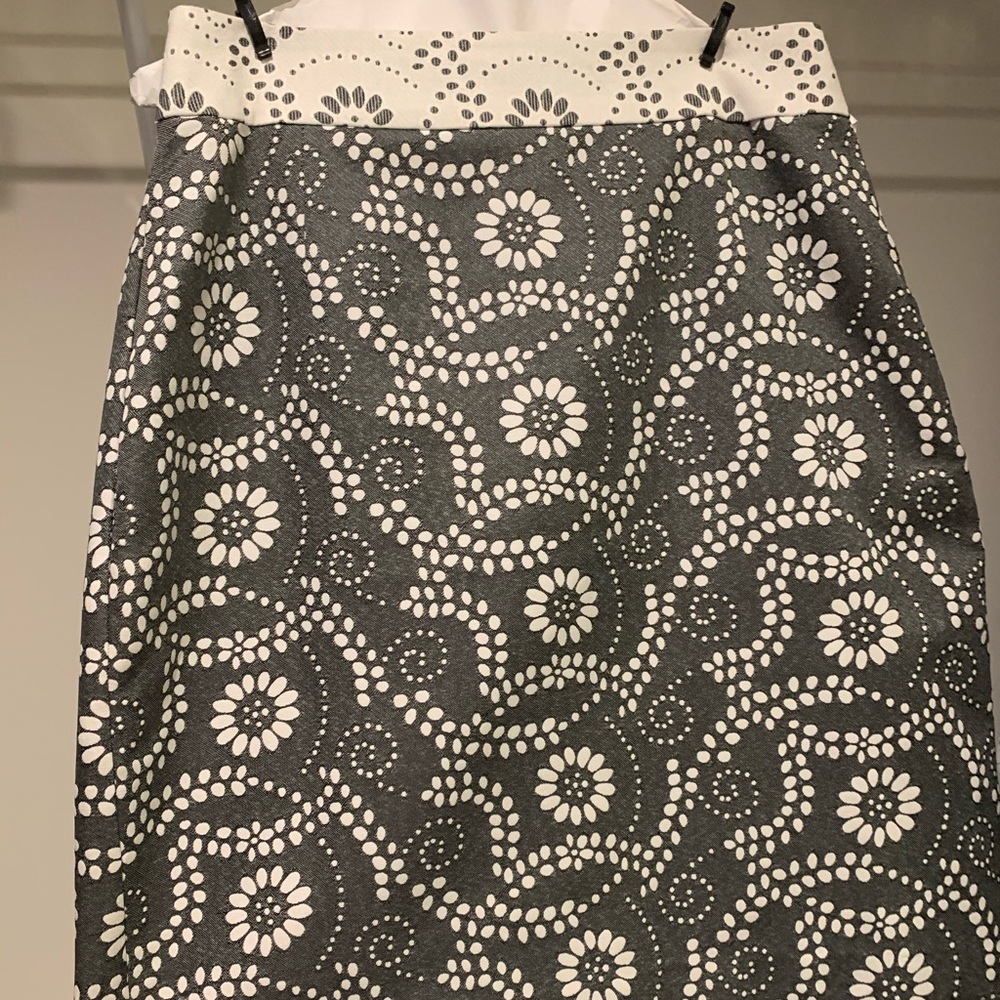 Banana Republic Skirt